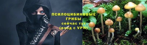 ПСИЛОЦИБИНОВЫЕ ГРИБЫ Алексеевка