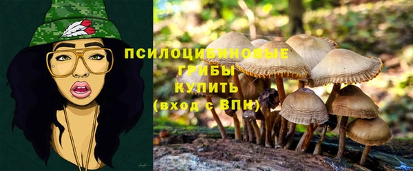 ПСИЛОЦИБИНОВЫЕ ГРИБЫ Алексеевка