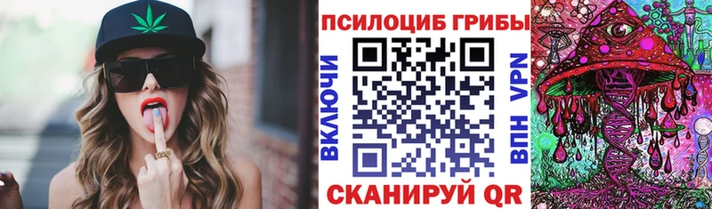 где купить наркоту  Югорск  Псилоцибиновые грибы Cubensis 